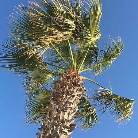 Gasthof Oklaca Patmos