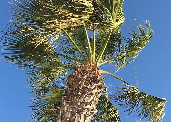 招待所 Oklaca Patmos